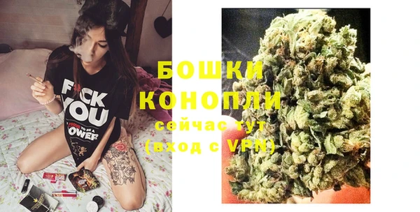 сатива Белоозёрский