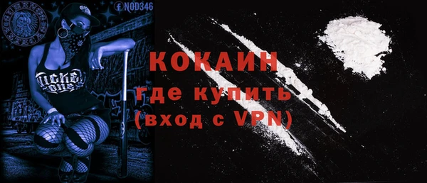 сатива Белоозёрский