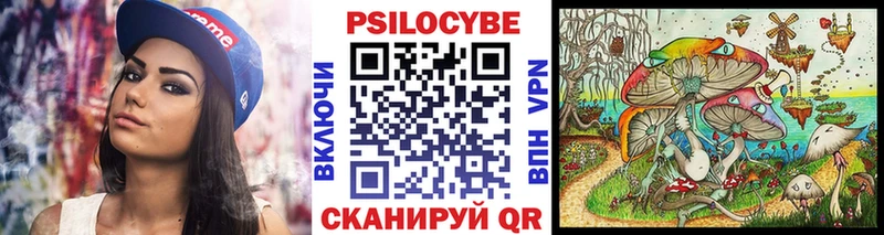 Купить  Борзя  Псилоцибиновые грибы Psilocybine cubensis 